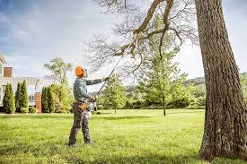 Best Tree Health Inspection  in Apple Valley, MN